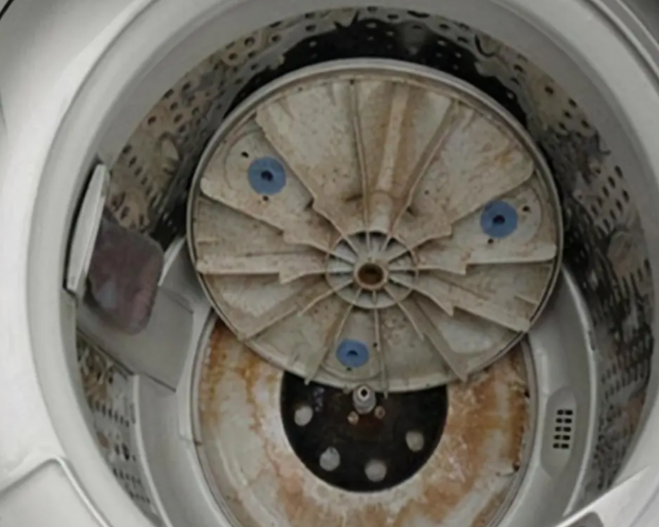 双缸洗衣机怎么拆开清洗(洗衣机怎么拆开清洗内胆视频)