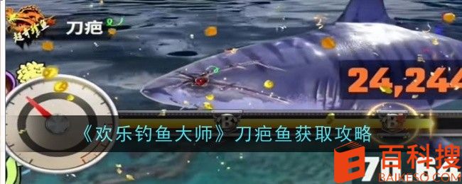 《欢乐钓鱼大师》游戏攻略：捕获刀疤鱼的技巧分享